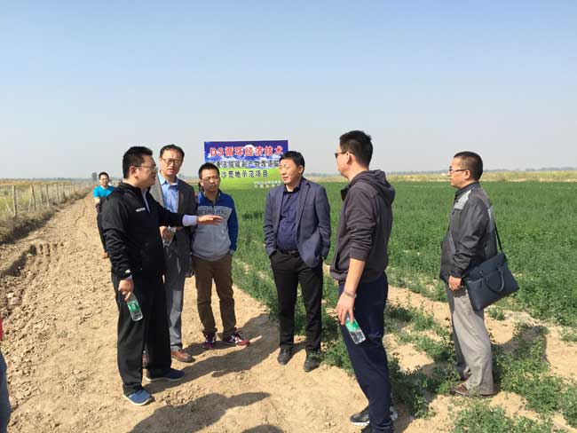 1475558597767385.jpg pt8.jpg