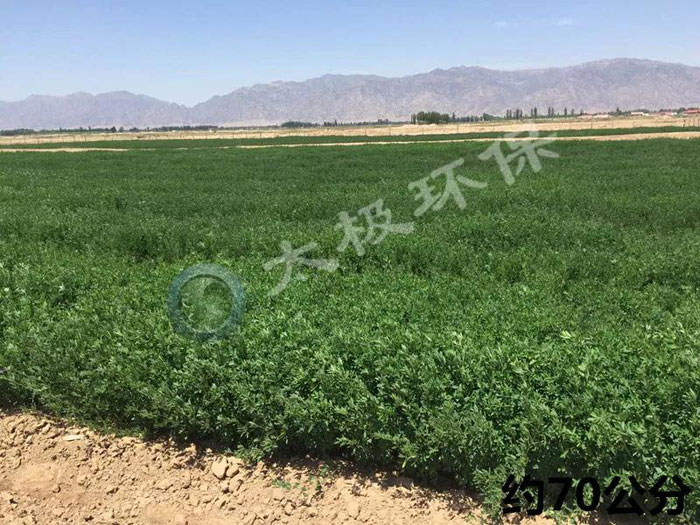 1537425125562898.jpg 2018092051.jpg