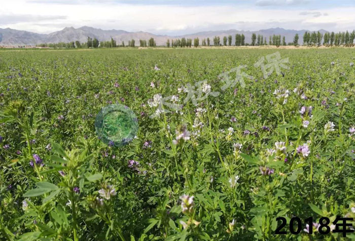 1537425134239557.jpg 2018092061.jpg